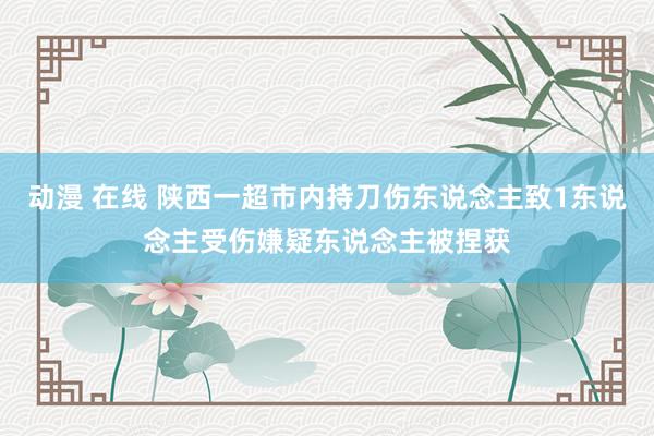 动漫 在线 陕西一超市内持刀伤东说念主致1东说念主受伤嫌疑东说念主被捏获