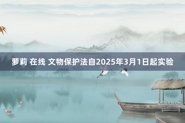 萝莉 在线 文物保护法自2025年3月1日起实验