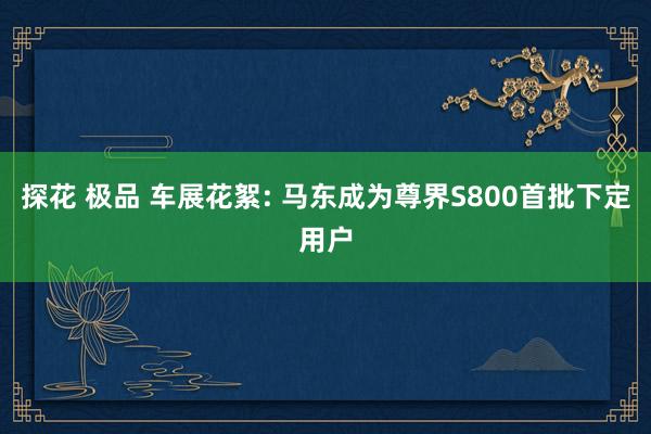 探花 极品 车展花絮: 马东成为尊界S800首批下定用户